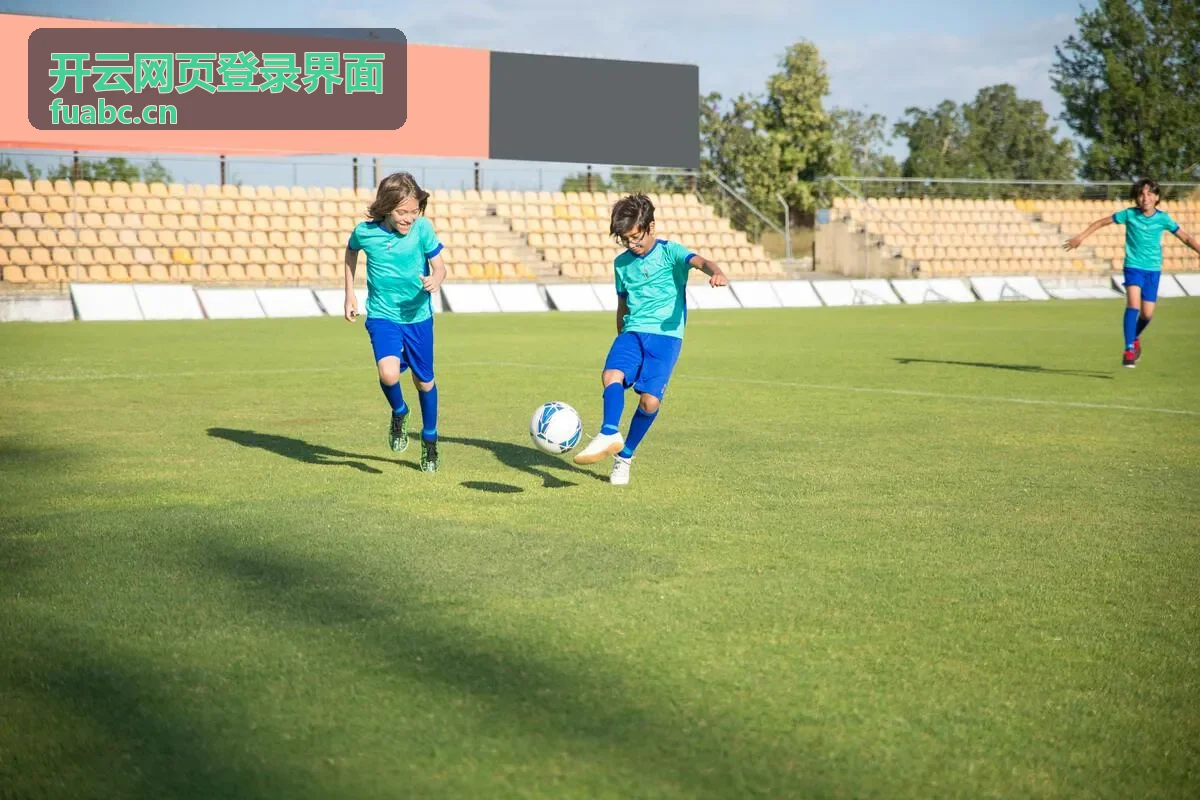 开云网页登录界面验证码填写失效的常见情形示意