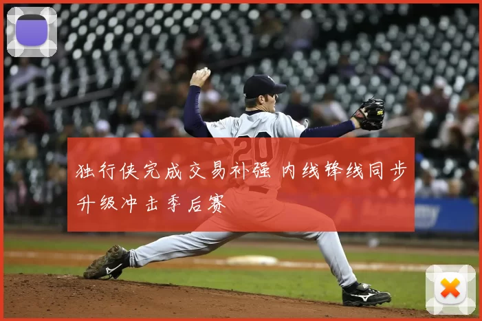 独行侠完成交易补强 内线锋线同步升级冲击季后赛