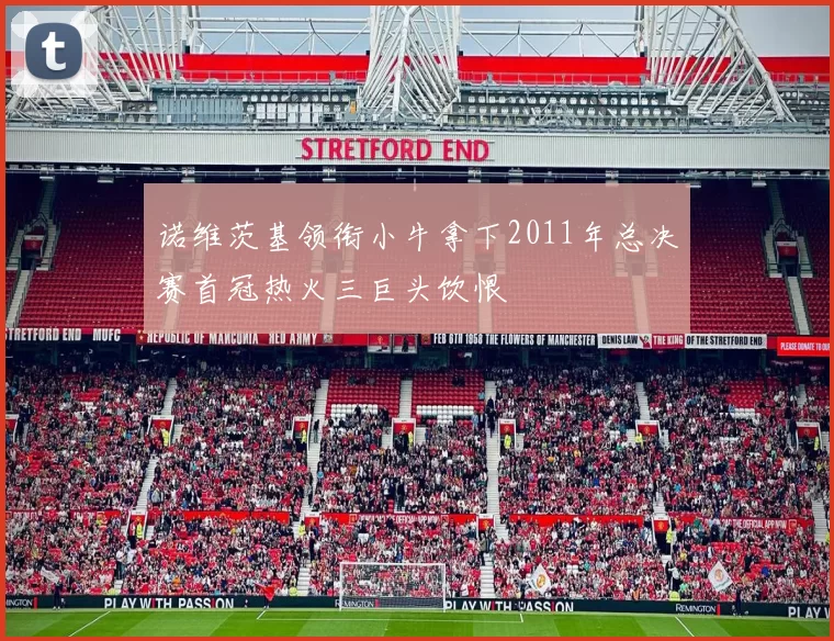 诺维茨基领衔小牛拿下2011年总决赛首冠热火三巨头饮恨