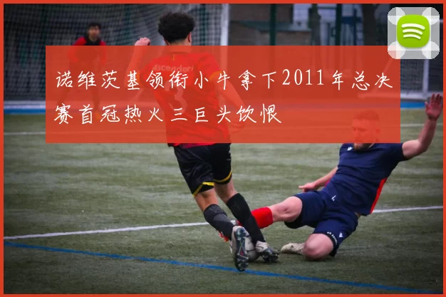 诺维茨基领衔小牛拿下2011年总决赛首冠热火三巨头饮恨