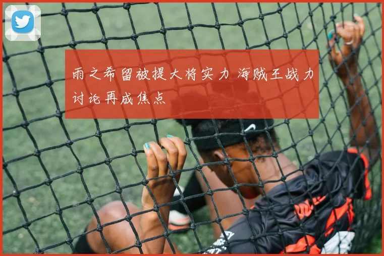雨之希留被提大将实力 海贼王战力讨论再成焦点