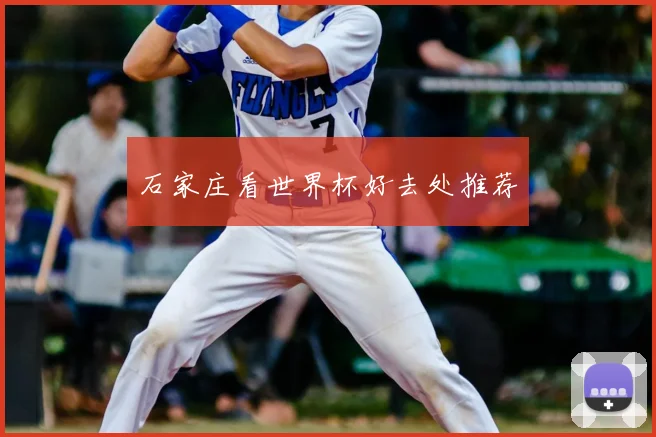 石家庄看世界杯好去处推荐