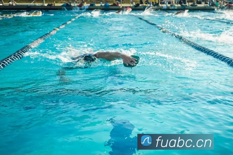 巅峰国际官网 - 追求健康，你我一起成长平台生态图